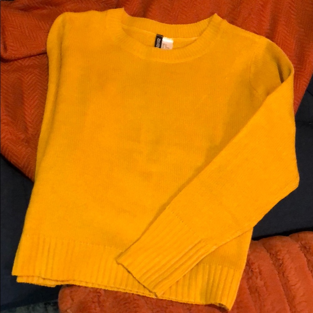 Long sleeved cropped crew sweater